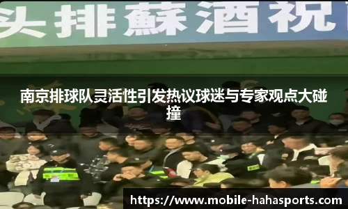 南京排球队灵活性引发热议球迷与专家观点大碰撞